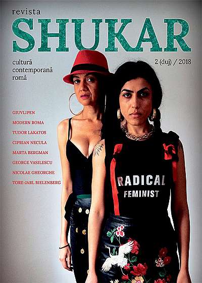 Coperta cărții Revista Shukar